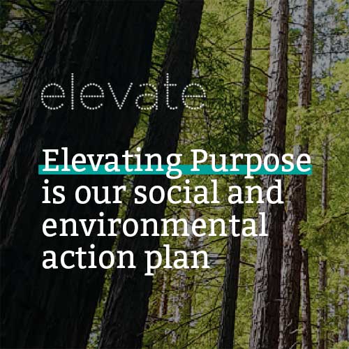 Elevating Purpose is our social and environmental action plan